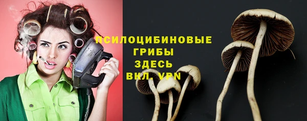 кристаллы Нягань