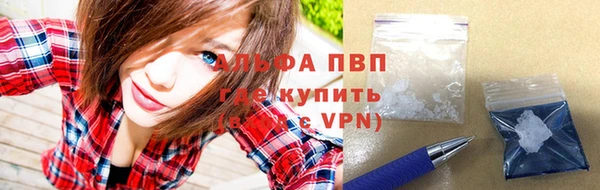 тгк Новодвинск