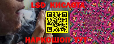 spice Ирбит